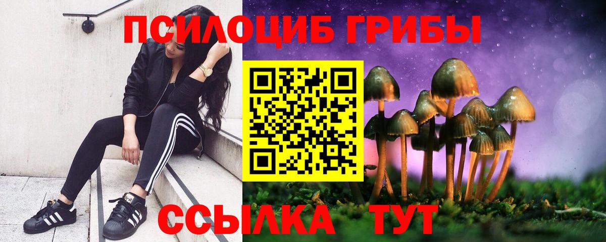 Псилоцибиновые грибы прущие грибы Воркута